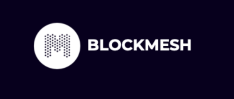 BlockMesh White Logo